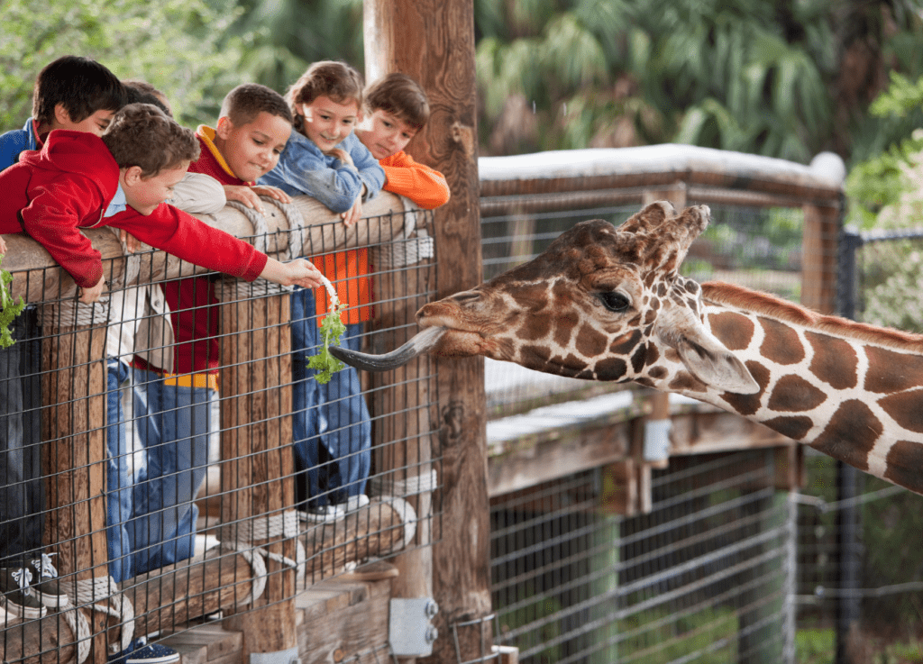 Homeschool Zoo Day